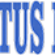 virtus-ltd-logo